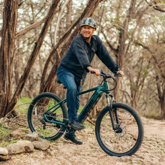 D1RT Electric Mountain Bike