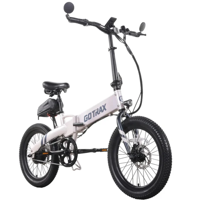 Gotrax F1 V2 (Grey)