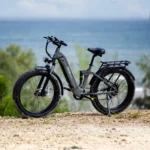 Hiboy EX7 Full Suspension Electric Bike Natural