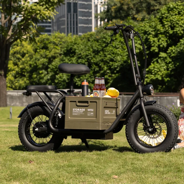 Hiboy U2 Pro Electric Scooter with 16 Fat Tires