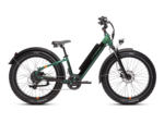 RadRover 6 Plus Electric Fat Tire Bike