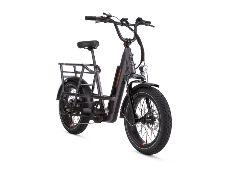 RadRunner 3 Plus electric bike side view