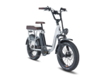 RadRunner Plus Electric Utility Bike