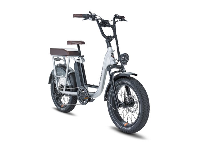 RadRunner Plus Electric Utility Bike