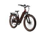 Radster Trail electric bike front view