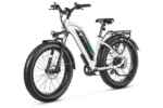 Cruiser Pro Step-Thru