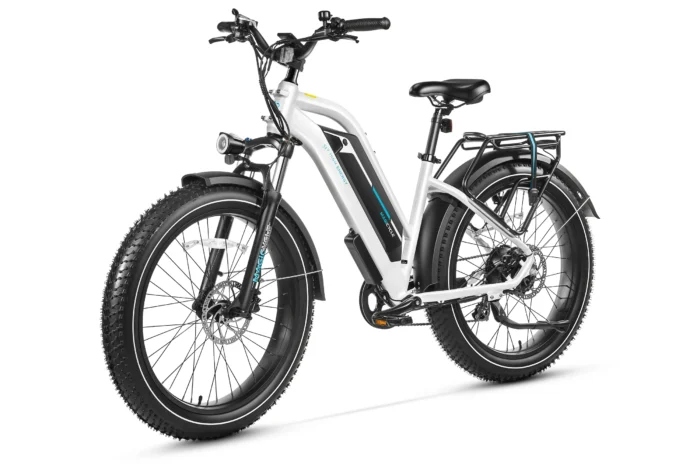 Cruiser Pro Step-Thru