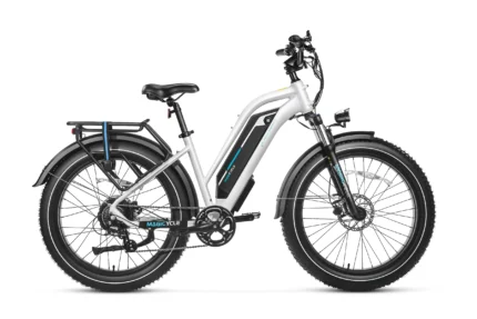 Magicycle Cruiser Pro Step-Thru
