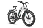 Magicycle Cruiser Pro Step-Thru Front View