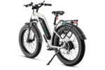 Magicycle Cruiser Pro Step-Thru Standing
