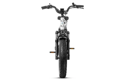 Ocelot Pro Step-Thru Front View