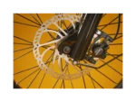 RadRunner Plus Electric Cargo Utility Bike Disk Break