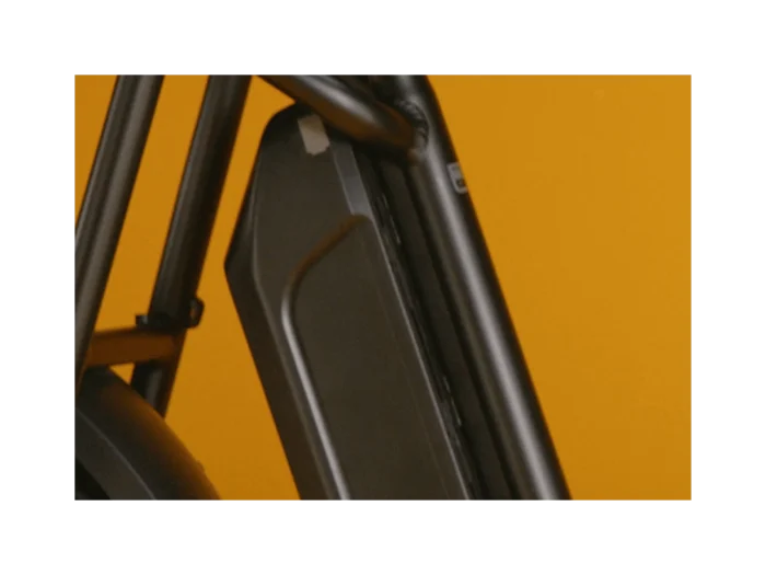 RadRunner™ Plus Electric Cargo Utility Bike Battery