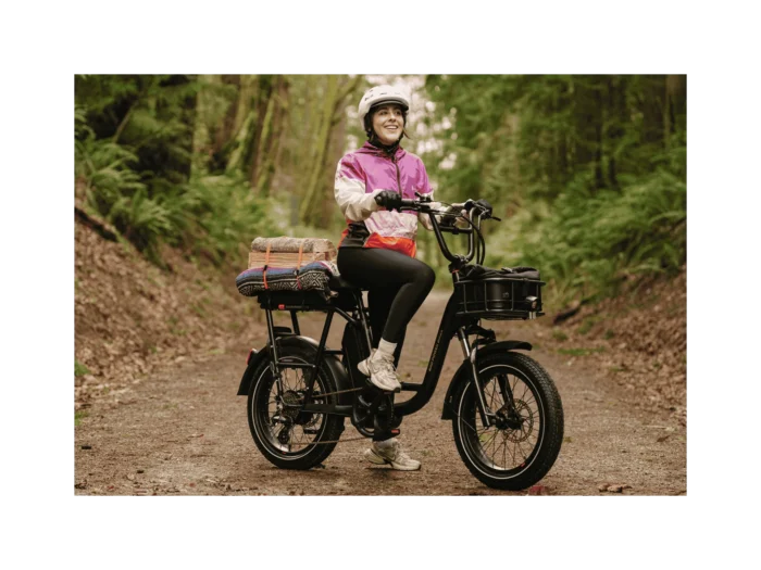 RadRunner™ Plus Electric Cargo Utility Bike Model