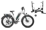 Bundle Sale - Magicycle Cruiser Pro E-Bike With A Second Battery - Double Battery