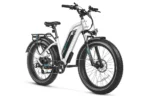 Bundle Sale - Magicycle Cruiser Pro E-Bike With A Second Battery - Front View