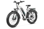 Bundle Sale - Magicycle Cruiser Pro E-Bike With A Second Battery - Left View
