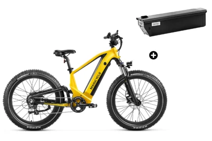 Bundle Sale - Magicycle Deer Step-over E-Bike With An Extra 20Ah Battery - Off Road