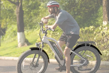 Magicycle Ebike Full Fenders - Live
