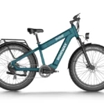 D5 Plus(Rhino) : Dual Battery Off-road Electric Bike - Midnight Forest