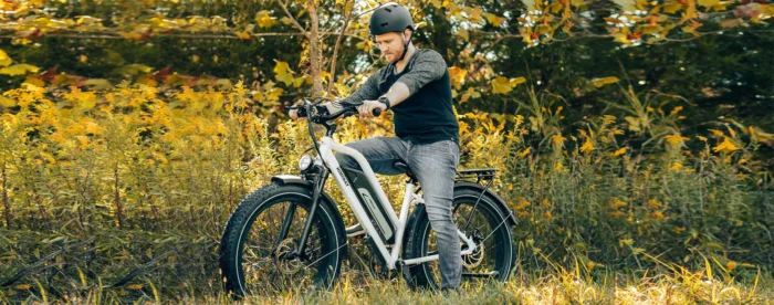 D5 Plus(Rhino) : Dual Battery Off-road Electric Bike - Midnight Forest - Experience