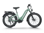 D5 Pro ST - Step-Thru - Green