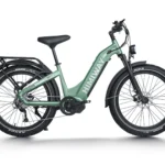 D5 Pro ST - Step-Thru - Green