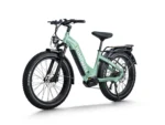 D5 Pro ST - Step-Thru - Green Front