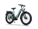 D5 Pro ST - Step-Thru - Green Side
