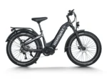 D5 Pro ST - Step-Thru - Space Grey