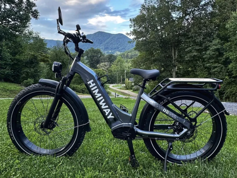 D5 ST(Zebra ST) : Premium All-terrain Electric Fat Bike Outing