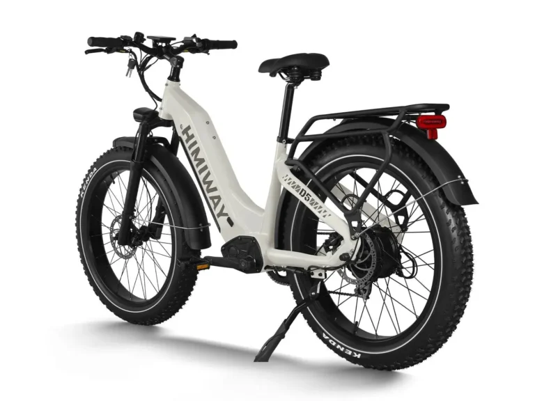 D5 ST(Zebra ST) : Premium All-terrain Electric Fat Bike - White