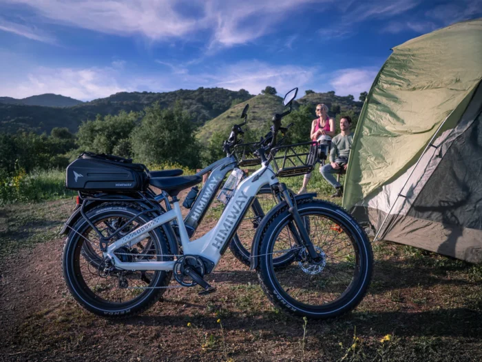 D5(Zebra) : Premium All-terrain Electric Fat Bike Climbing