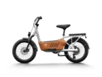 Himiway | C3 Cargo Ebike 1