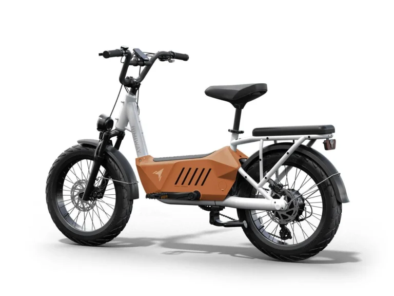 Himiway | C3 Cargo Ebike 2