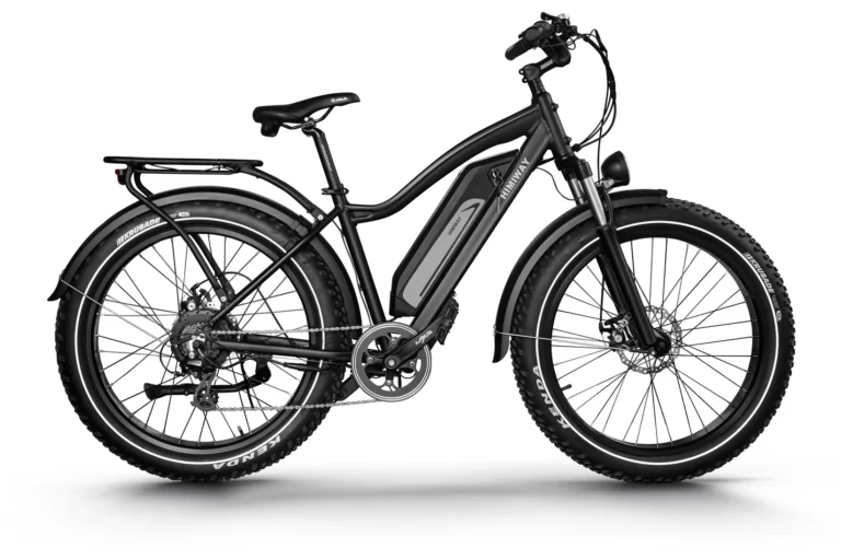 Himiway D3 Cruiser Electric Fat Tire Bike