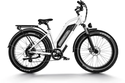 Himiway D3 ST (Cruiser ST)
