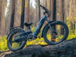 Himiway D5 2.0 ST eBike --