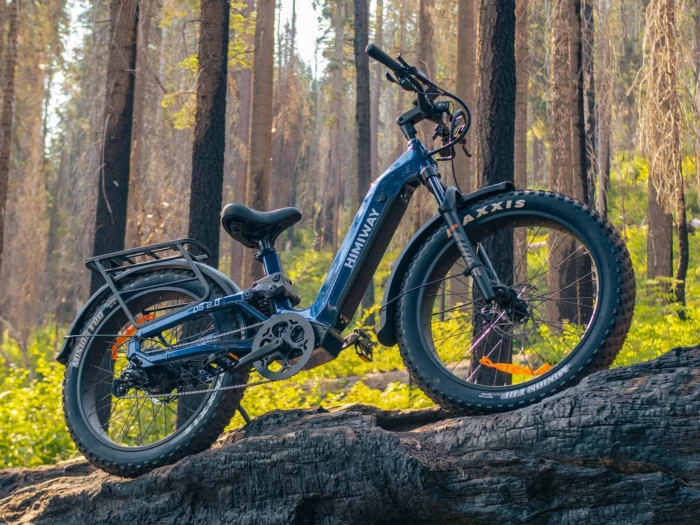 Himiway D5 2.0 ST eBike --