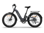 Himiway D5 2.0 ST eBike - Side View