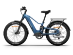 Himiway D5 2.0 eBike - Midnight Blue Side View