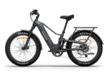 Himiway D5 2.0 eBike - Side View