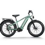 Himiway D5 Pro Premium All-Terrain Electric Fat Bike - Green