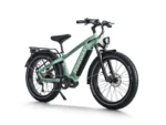 Himiway D5 Pro Premium All-Terrain Electric Fat Bike - Green Front