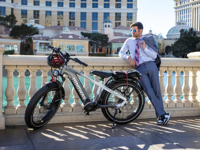 Himiway D5 Pro Premium All-Terrain Electric Fat Bike - Space Grey -