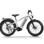 Himiway D5 Pro Premium All-Terrain Electric Fat Bike - Space Grey - White