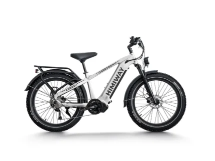 Himiway D5 Pro Premium All-Terrain Electric Fat Bike - Space Grey - White