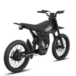 GT73 Pro Electric Motorbike - Backside