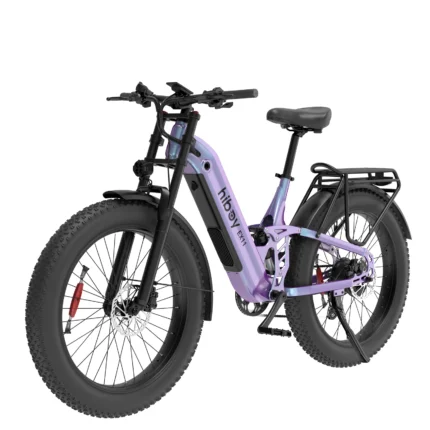 Hiboy EX11 Full Suspension Electric Bike - Chameleon