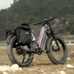 Hiboy EX11 Full Suspension Electric Bike - Standing